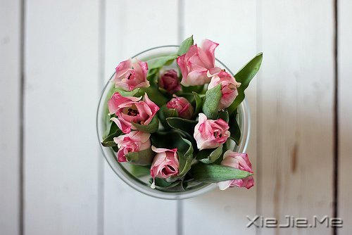 把日子过成诗,简单而精致 (7)