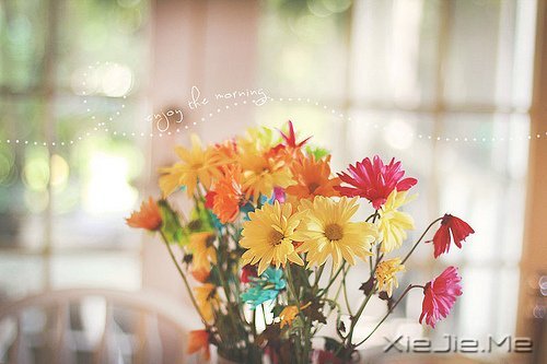 把日子过成诗,简单而精致 (9)