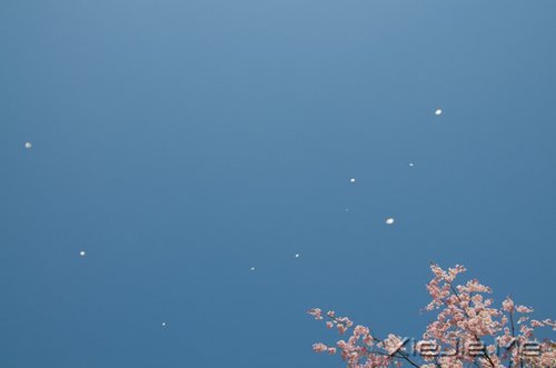 平淡与安静,亦是心灵的另一种力量 (9)