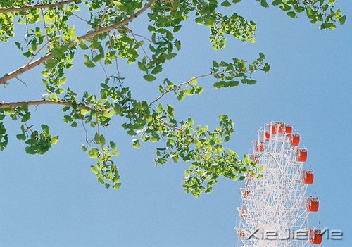 真正的高贵应该是优于过去的自己 (1)