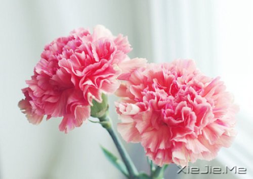 有的人你看了一眼,却惦念了一生 (1)