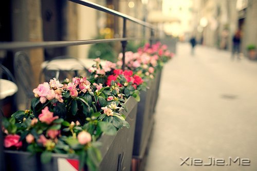 �����������ܿ�����ʵ���Լ� (3)