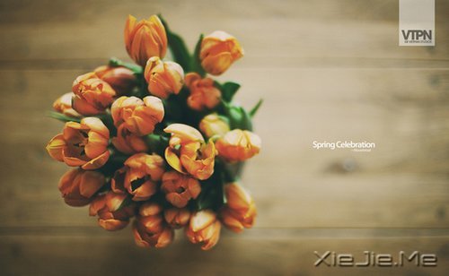 你若盛开,清风自来 (10)