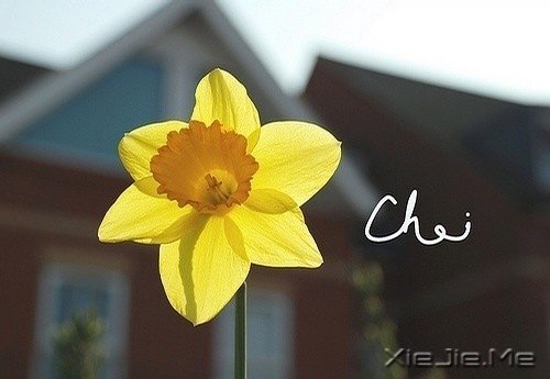 想追求什么,就去努力吧 (2)