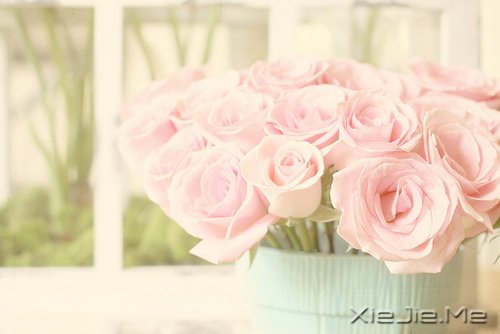 想追求什么,就去努力吧 (6)