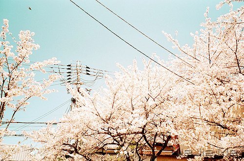 路过青春一阵子,记忆里搁浅一辈子 (7)