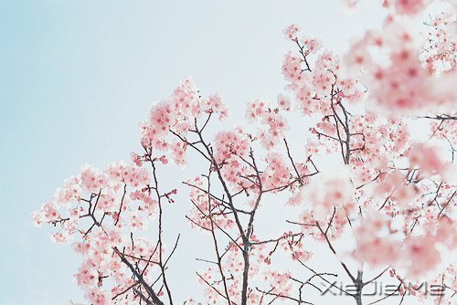 不管成功与否,至少曾经美丽 (4)