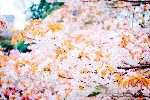 只要内心不乱,外界就很难改变你什么 (7)