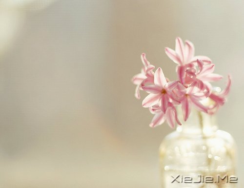 生命如途,走过才知深浅 (5)