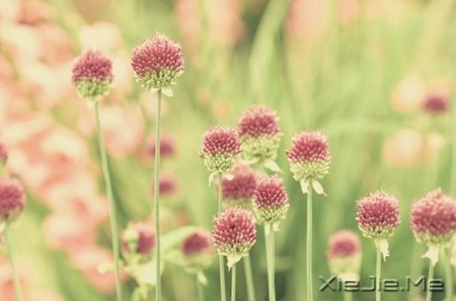 �����������Ľ�ӡ������ӡ������Ţ��·�� (3)