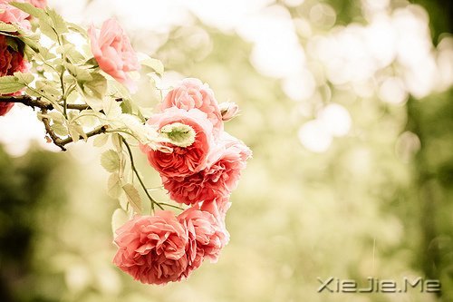 ���ۺû������춼�ᵽ�� (8)