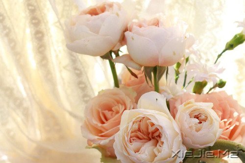 �����������������������Į (8)