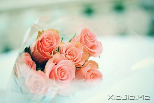 ˭���𻨵����ӣ�������������Ȼ���� (4)