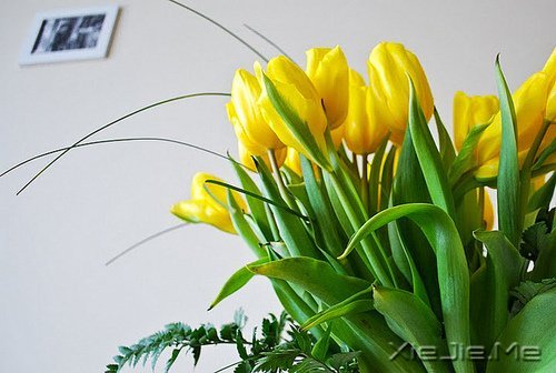 幸福应该是来得巧,而不是来得多 (2)