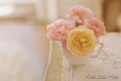 һ·�ж�����������ϧ (5)