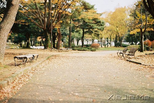 早安心语:生活的美好缘于拥有一颗平常心 (11)