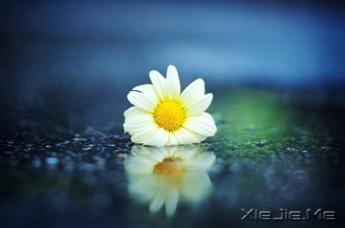 �簲����ù�ȥ�Ķ���ȥ (2)