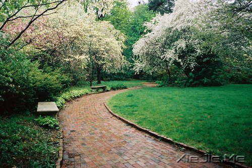 早安心语:安慰别人的话,终究安慰不了自己 (3)