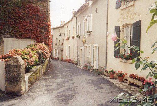 早安心语:安慰别人的话,终究安慰不了自己 (12)