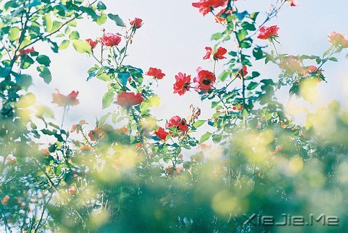 ���������;�У������Լ� (2)