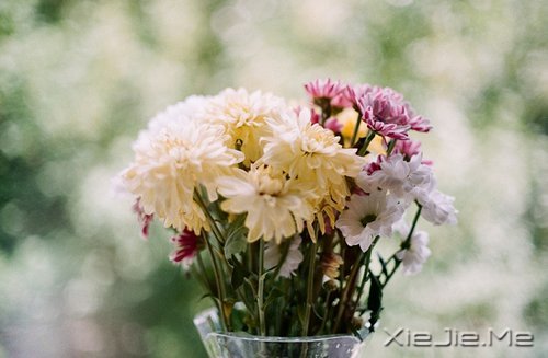 ��������˲������ں�ҹ���������û�й� (7)