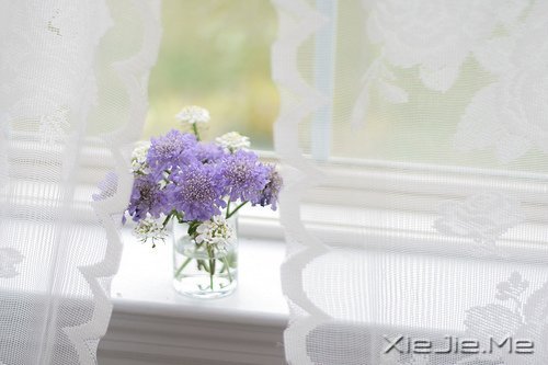 早安心语:走今天的路,过当下的生活 (7)