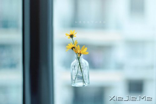 晚安心语:与其诅咒黑暗,不如点亮灯火 (9)