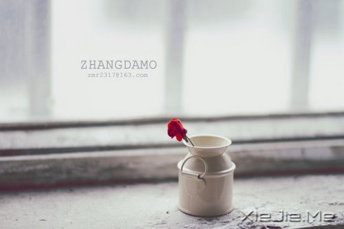 ������������Լ�������һ����Ϊ������� (10)