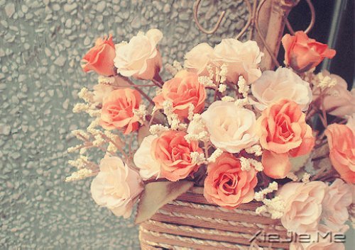 �������յ㣬��΢Цһֱ��ǰ (6)