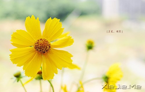 �ʵ��ķ��������������ŵ�ת�� (1)