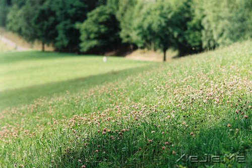 早安心语:音乐,开心时入耳,伤心时入心 (3)
