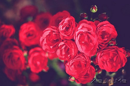 �������������������������� (8)