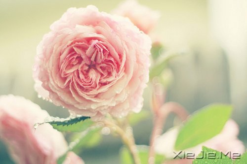 �������Ըϸˮ����ʱ��������� (8)