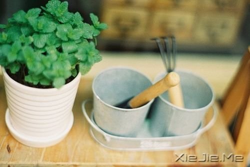 晚安心语:心若沉浮,浅笑安然 (4)