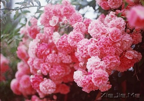 晚安心语:愿你成为自己的太阳 (10)