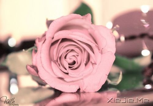 晚安心语:真正的泪水来自心底,眼睛只是一个小小的出口 (6)