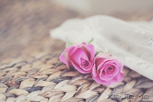 早安心语:不必仰望别人,自己亦是风景 (9)