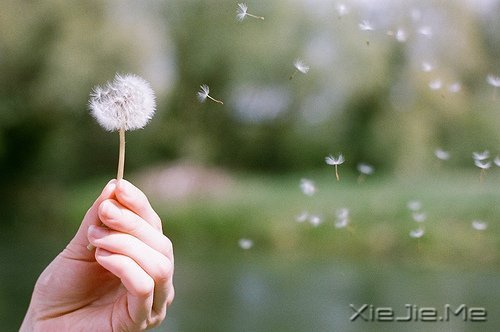 �簲���������Ŭ������Լ�ϲ�����Ǹ��Լ� (7)