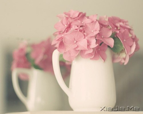 �簲�������������ߣ�Ҳ����һ�����������ͽ (3)