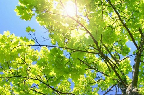 �簲�����Щ���ԣ����������㲻�̽Ҵ� (2)