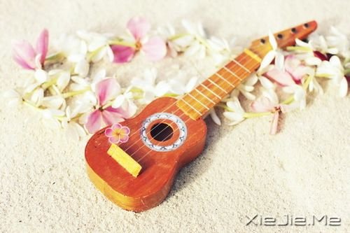 晚安心语:是逆境,让我们变得更坚强 (5)