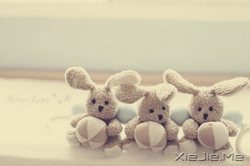 晚安心语:越努力,越幸运 (2)