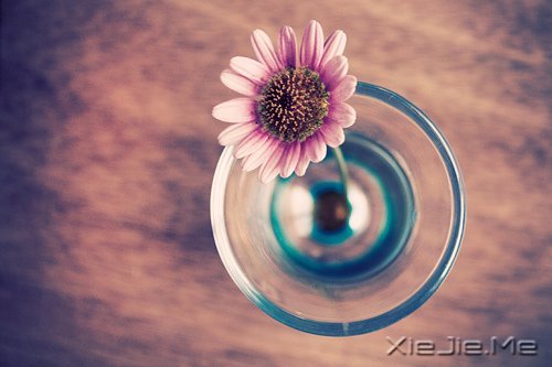 晚安心语:越努力,越幸运 (6)