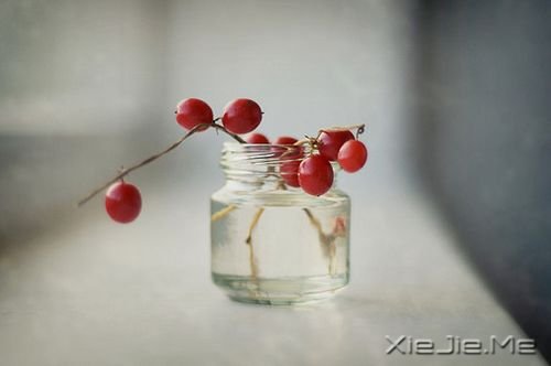 早安心语:勇敢说出你的想法,哪怕声音会颤抖 (7)