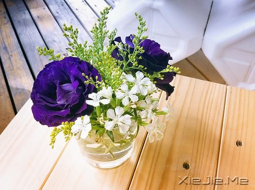 早安心语:谁不是一边受伤,一边学会坚强 (9)