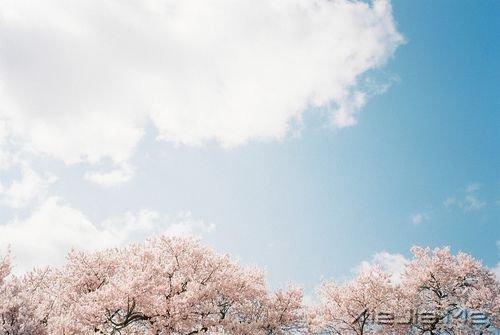 �簲�������ֻ�о�����ƽ���������Ե�����������ʵ (6)