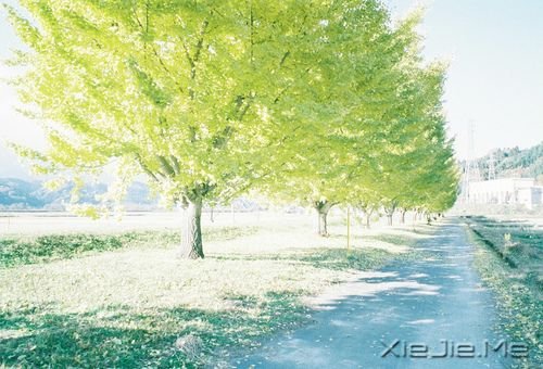 ����������ߵ�·���������ķ羰 (1)