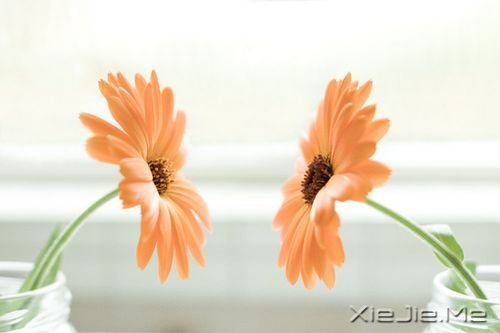 �簲����������ڱ��˵����������ʧ���Լ�����·�� (1)