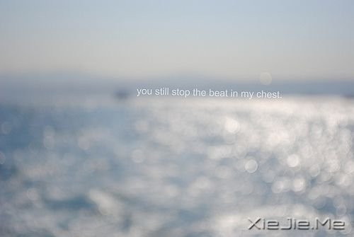 早安心语:请别伤我的心,那里面住的是你 (2)