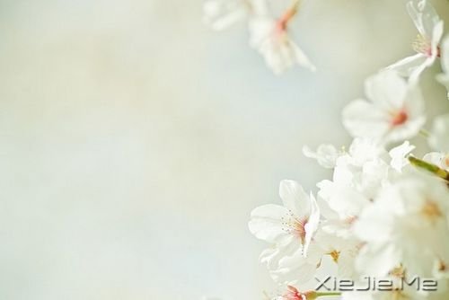 早安心语:请别伤我的心,那里面住的是你 (5)